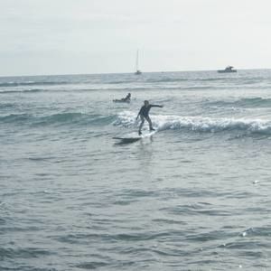 Meet your Posher, Darla